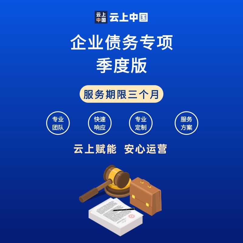 企业债务专项季度版