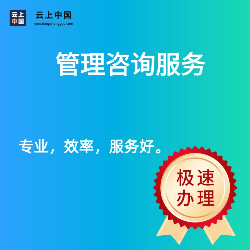 管理咨询服务