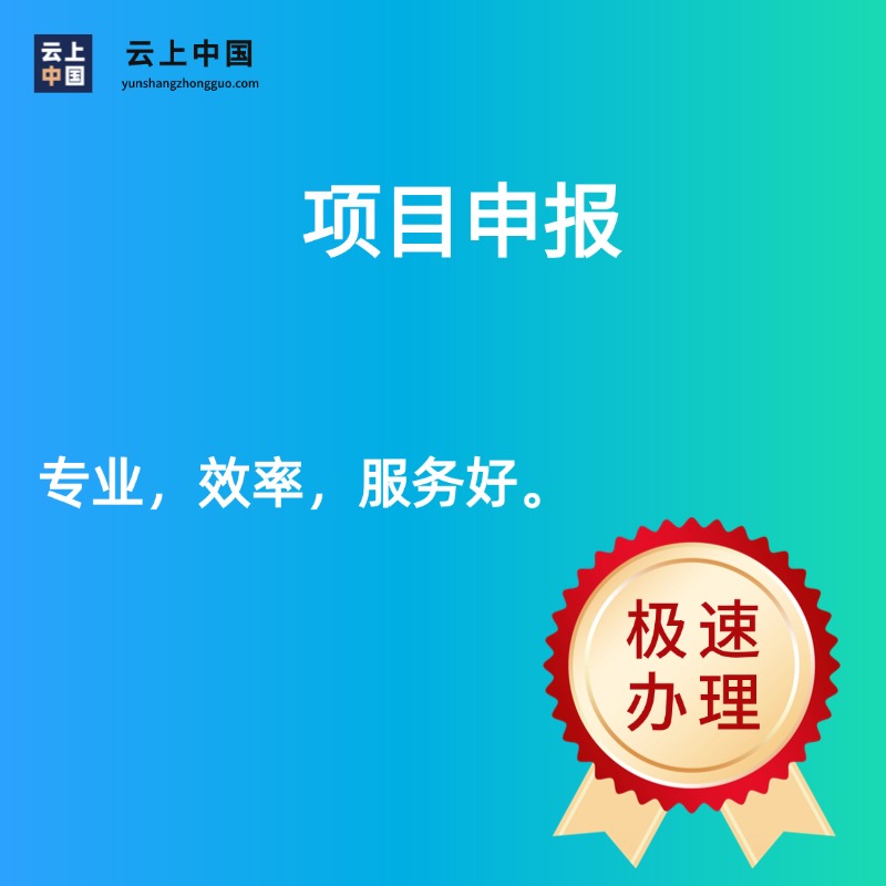项目申报