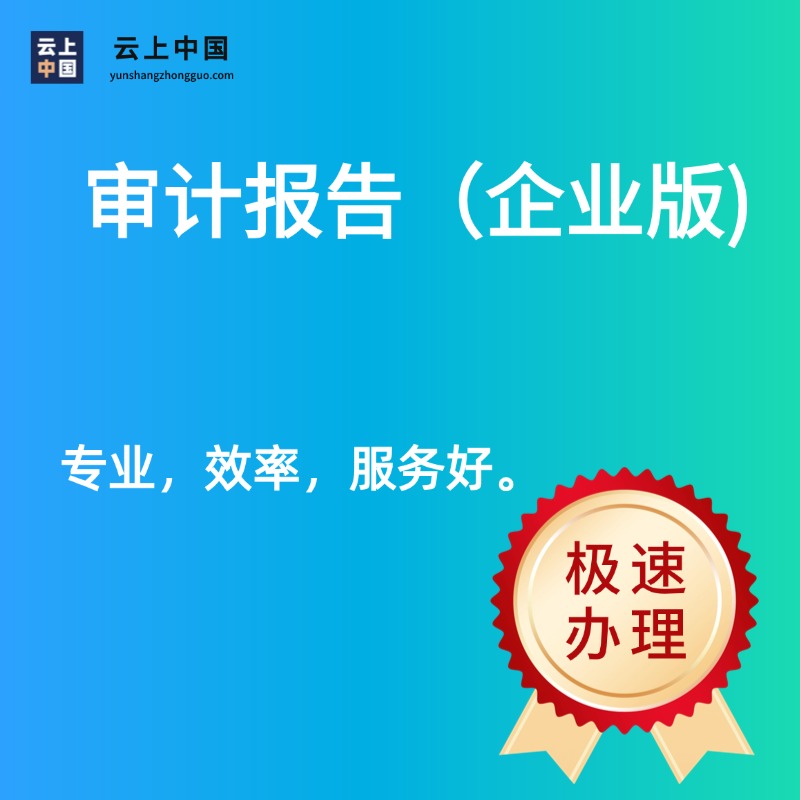 审计报告（企业版)